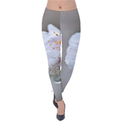 Rainy Day Of Hanami Season Velvet Leggings by FunnyCow