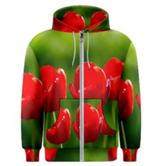 Three Red Tulips, Green Background Men s Zipper Hoodie by FunnyCow