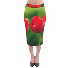 Three Red Tulips, Green Background Velvet Midi Pencil Skirt by FunnyCow