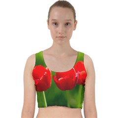 Three Red Tulips, Green Background Velvet Racer Back Crop Top by FunnyCow