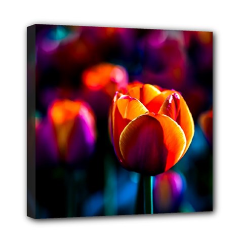 Red Tulips Mini Canvas 8  X 8  (stretched) by FunnyCow