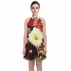 Flowers 1776585 1920 Velvet Halter Neckline Dress  by vintage2030