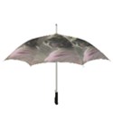 Vintage 1501529 1920 Straight Umbrellas View3