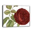 Rose 1077964 1280 Canvas 16  x 12  (Stretched) View1