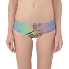 Rainbow Branch Boxer Shorts Classic Bikini Bottoms by Simbadda