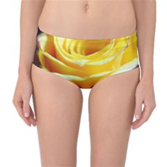 Soft Yellow Rose Mid-waist Bikini Bottoms by bloomingvinedesign