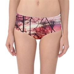 October Sunset Mid-waist Bikini Bottoms by bloomingvinedesign