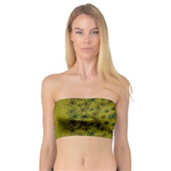 Flower Wreath In The Green Soft Yellow Nature Bandeau Top by pepitasart