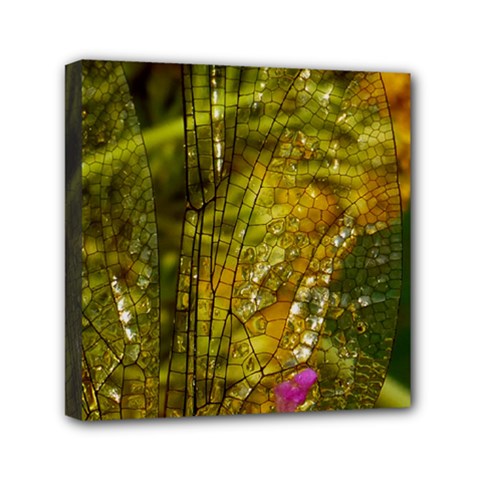 Dragonfly Dragonfly Wing Close Up Mini Canvas 6  X 6  (stretched) by Sapixe