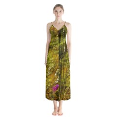 Dragonfly Dragonfly Wing Close Up Button Up Chiffon Maxi Dress by Sapixe