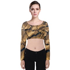 Mud Muddy Velvet Long Sleeve Crop Top by Mariart