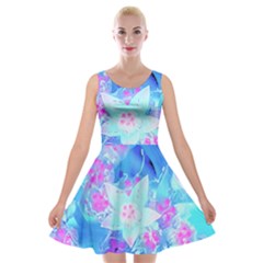 Blue And Hot Pink Succulent Underwater Sedum Velvet Skater Dress by myrubiogarden