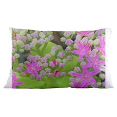 Hot Pink Succulent Sedum With Fleshy Green Leaves Samsung Galaxy Note 4 Case (black) by myrubiogarden