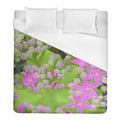 Hot Pink Succulent Sedum With Fleshy Green Leaves Duvet Cover (full/ Double Size) by myrubiogarden