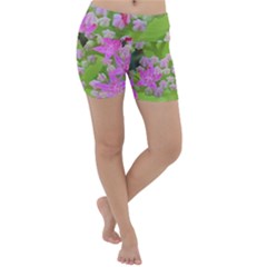 Hot Pink Succulent Sedum With Fleshy Green Leaves Lightweight Velour Yoga Shorts by myrubiogarden