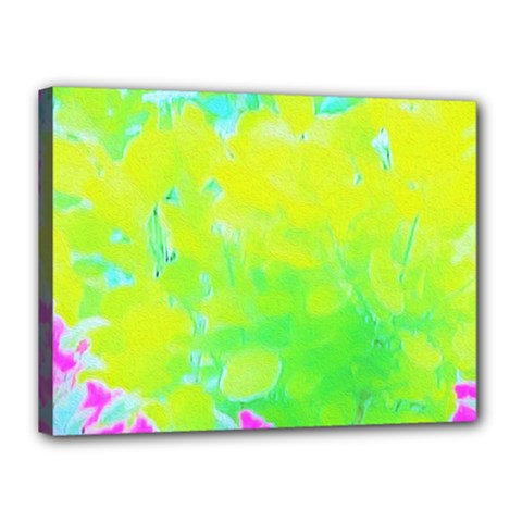 Fluorescent Yellow And Pink Abstract Garden Foliage Canvas 16  X 12  (stretched) by myrubiogarden