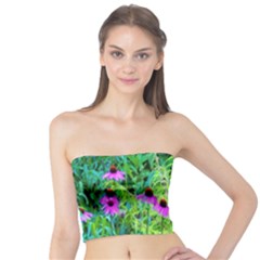 Purple Coneflower Garden With Tiger Eye Tree Tube Top by myrubiogarden