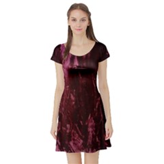 Wordsworth Crushed Velvet Short Sleeve Skater Dress by DeneWestUK