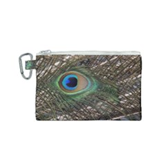 Peacock Tail Feathers Canvas Cosmetic Bag (small) by Wegoenart