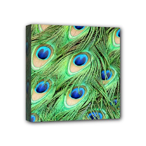 Peacock Feathers Peafowl Mini Canvas 4  X 4  (stretched) by Wegoenart