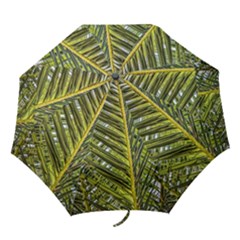 Palm Fronds Palm Palm Leaf Plant Folding Umbrellas by Wegoenart