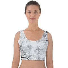 Tree Knots Bark Kaleidoscope Velvet Crop Top by Wegoenart