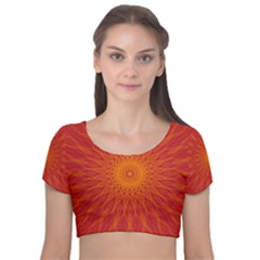 Background Rays Sun Velvet Short Sleeve Crop Top  by Wegoenart