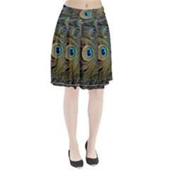 Peacock Tail Feathers Close Up Pleated Skirt by Pakrebo