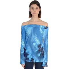 Fractal Art Feather Swirls Puffy Off Shoulder Long Sleeve Top by Pakrebo