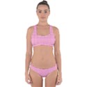 Pink Gingham Cross Back Hipster Bikini Set View1