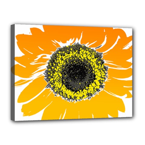 Sunflower Flower Yellow Orange Canvas 16  X 12  (stretched) by Mariart