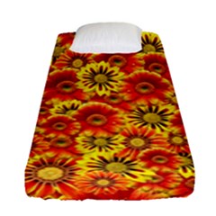 Brilliant Orange And Yellow Daisies Fitted Sheet (single Size) by retrotoomoderndesigns