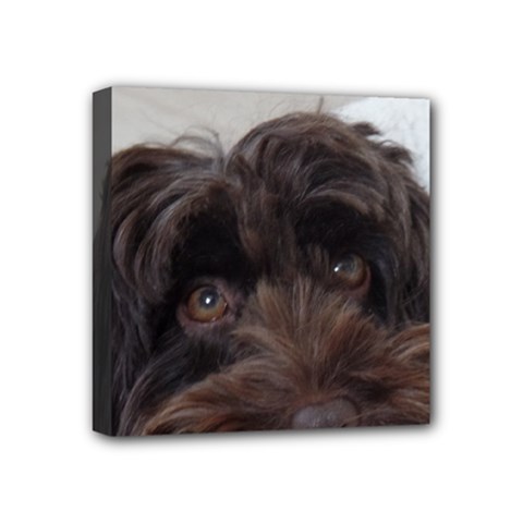 Laying In Dog Bed Mini Canvas 4  X 4  (stretched) by pauchesstore