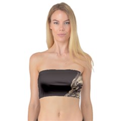 Angry Male Lion Bandeau Top by Sudhe