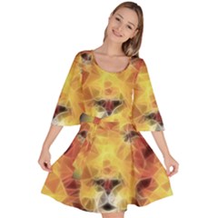 Fractal Lion Velour Kimono Dress by Sudhe