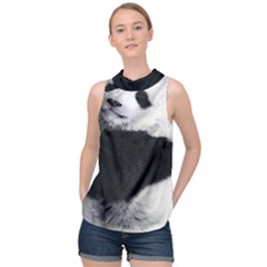 Panda Bear Sleeping High Neck Satin Top by Sudhe