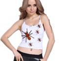 Nature Insect Natural Wildlife Spaghetti Strap Bra Top View1