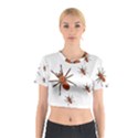 Nature Insect Natural Wildlife Cotton Crop Top View1