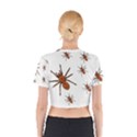 Nature Insect Natural Wildlife Cotton Crop Top View2