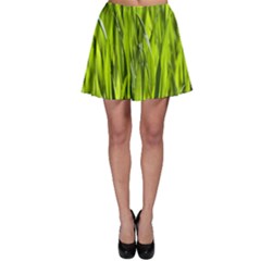 Agricultural Field   Skater Skirt by rsooll