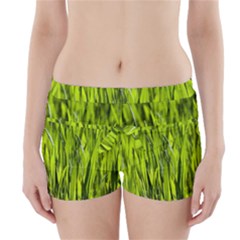 Agricultural Field   Boyleg Bikini Wrap Bottoms by rsooll