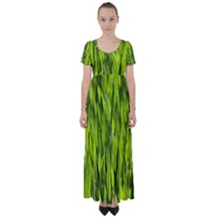 Agricultural Field   High Waist Short Sleeve Maxi Dress by rsooll