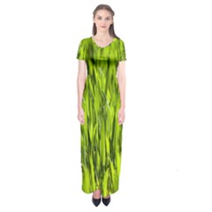 Agricultural Field   Short Sleeve Maxi Dress by rsooll