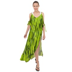 Agricultural Field   Maxi Chiffon Cover Up Dress by rsooll