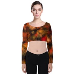 Color Background Structure Lines Velvet Long Sleeve Crop Top by Pakrebo