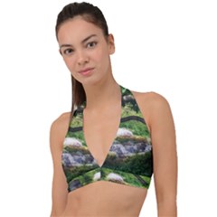 Chicago Garden Of The Phoenix Halter Plunge Bikini Top by Riverwoman