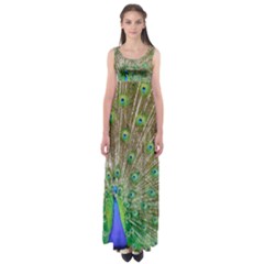 Peacock Color Bird Colorful Empire Waist Maxi Dress by Pakrebo