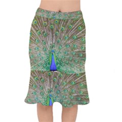 Peacock Color Bird Colorful Mermaid Skirt by Pakrebo