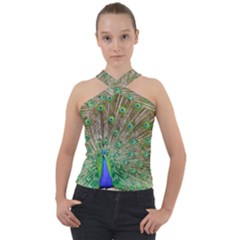 Peacock Color Bird Colorful Cross Neck Velour Top by Pakrebo