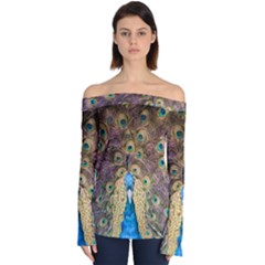 Peacock Feather Peacock Feather Off Shoulder Long Sleeve Top by Pakrebo